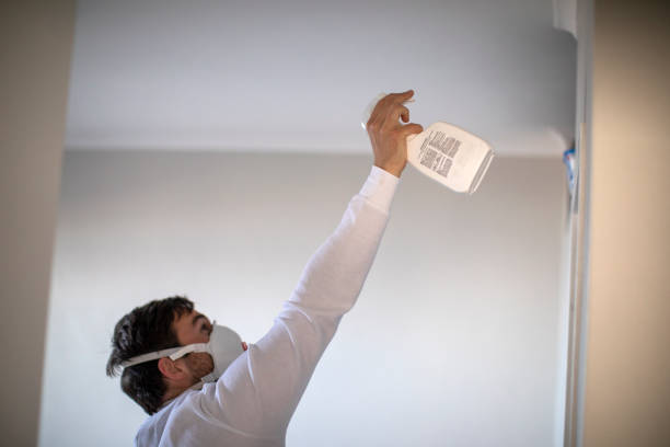 Best Mold Testing  in Brielle, NJ