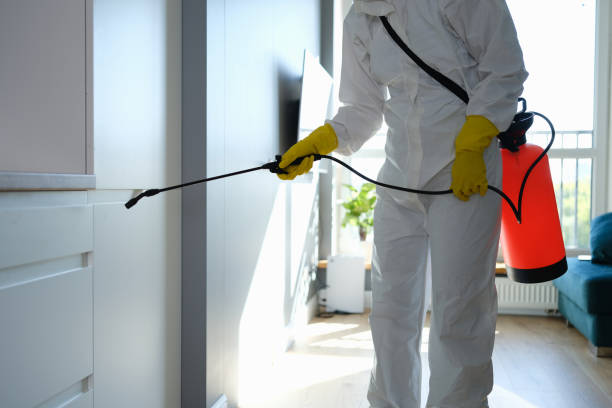 Best Emergency Mold Removal  in Brielle, NJ