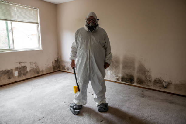 Crawl Space Mold Removal in Brielle, NJ